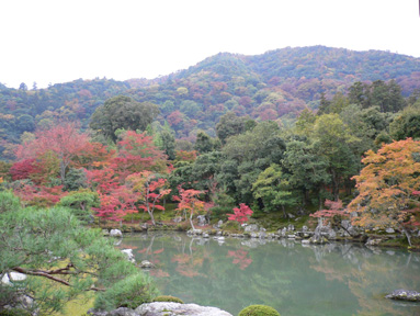 日本の美！天龍寺_b0043095_2131548.jpg