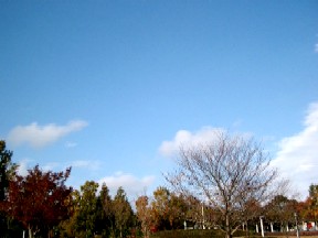 a0040103_20371732.jpg