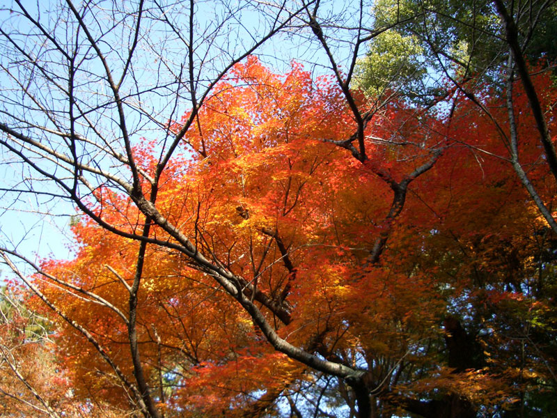 京都の旅（紅葉の南禅寺）2_b0046204_021023.jpg