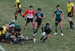 d0052904_1434663.jpg