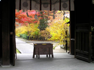 梨の木神社_e0048413_17433637.jpg
