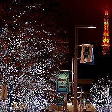 c0028424_2346214.jpg