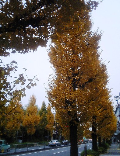 c0026627_1505149.jpg