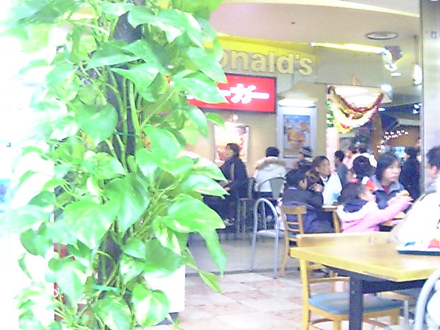 b0056230_1840265.jpg