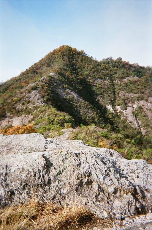c0029332_20414334.jpg