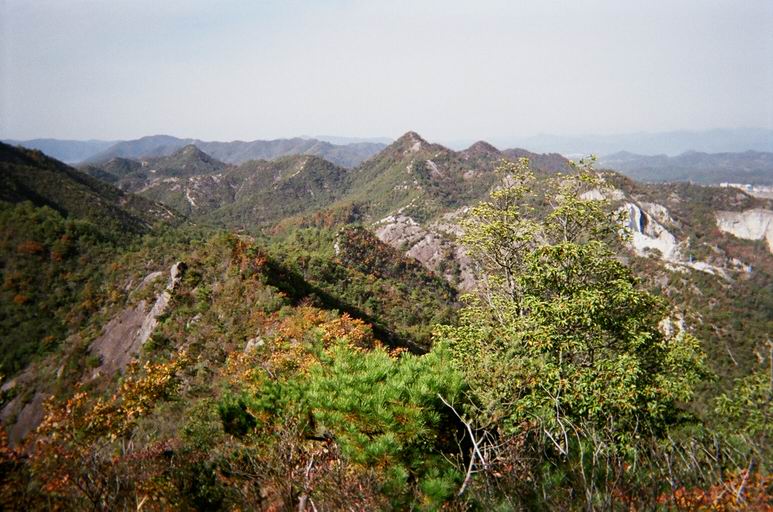 c0029332_2042126.jpg