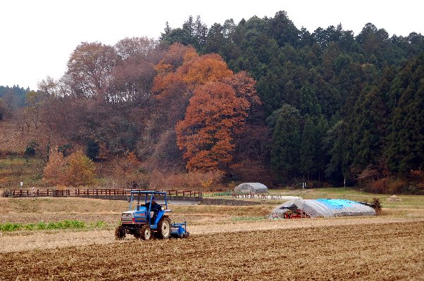 ４．１２．２００５　いつか見た風景_e0009147_18251117.jpg