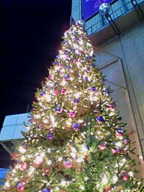c0016849_1214459.jpg