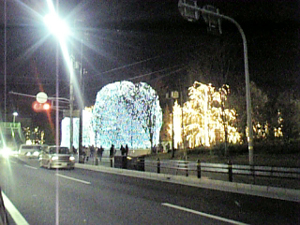 e0002951_06077.jpg