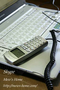 Skype!_b0045855_23462515.jpg
