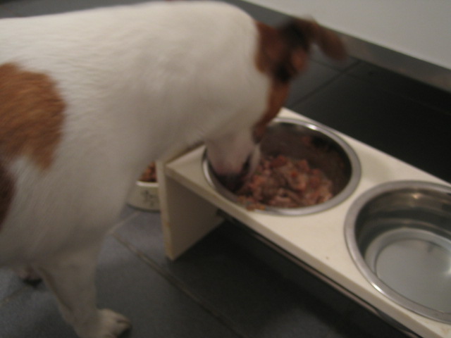 僕の、最近食べてる、ごはん_f0013255_8545320.jpg