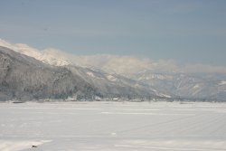 d0066560_190486.jpg