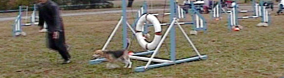 e0007060_22141286.jpg