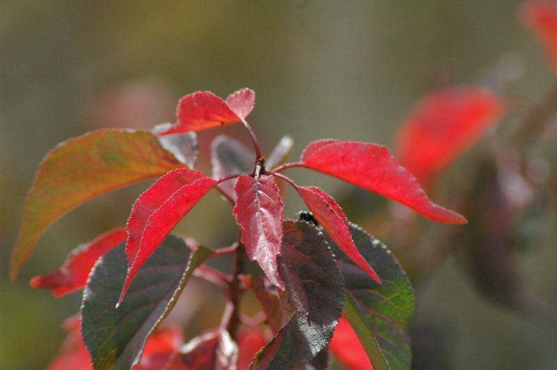 b0032962_18564513.jpg