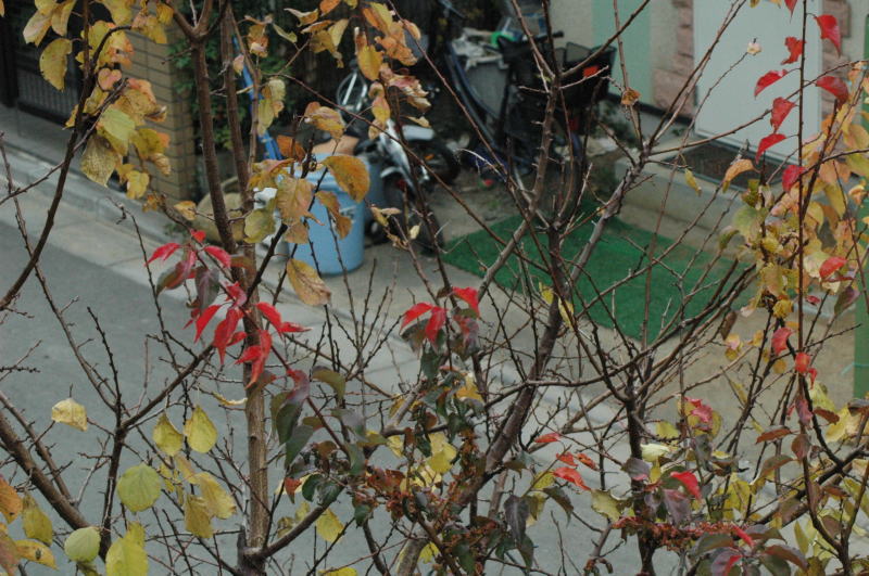 b0032962_18585511.jpg