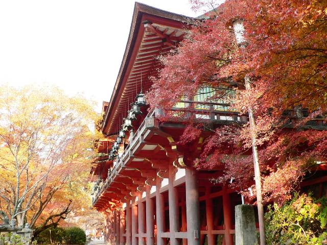 d0042474_114105.jpg