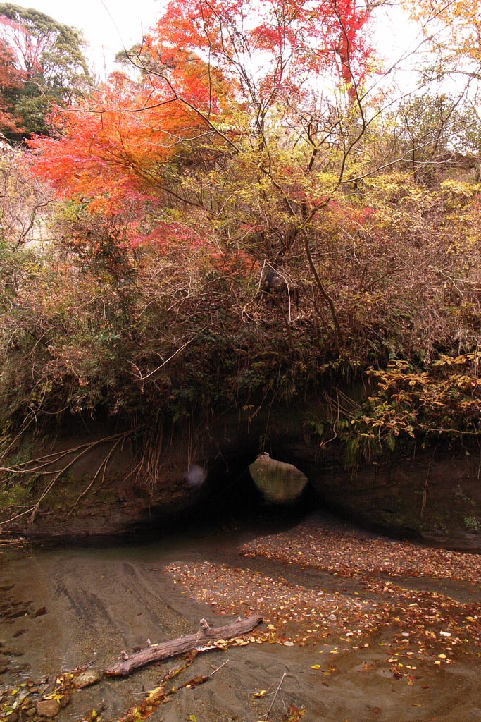 養老渓谷に行く_e0071178_23245.jpg