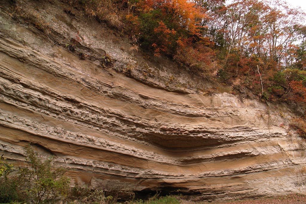 e0071178_243342.jpg