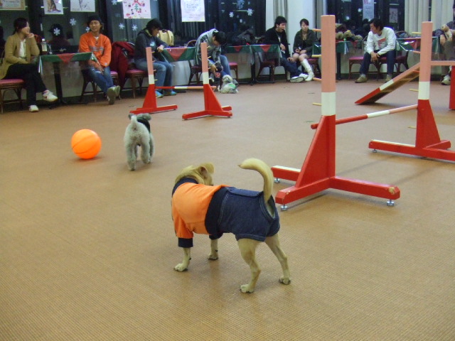 a0067882_23291298.jpg