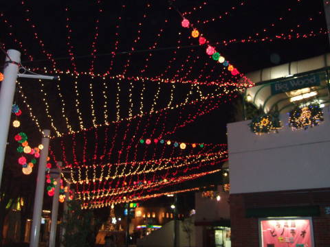 c0075585_0243832.jpg