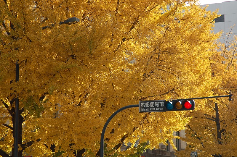 a0054691_21533187.jpg