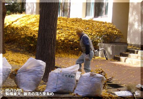 寒い一日_c0051105_22243150.jpg