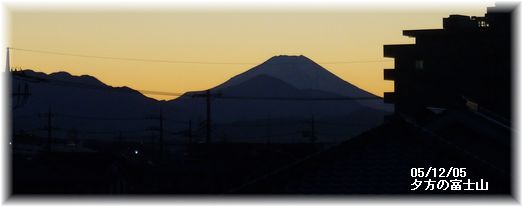 寒い一日_c0051105_2294459.jpg