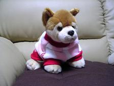 さぶぅ~~。。。_c0049950_22114461.jpg