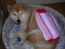 さぶぅ~~。。。_c0049950_221397.jpg