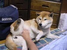 さぶぅ~~。。。_c0049950_22323815.jpg