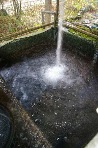 川魚料理「えんどう」（千葉県香取郡東庄町）_c0014967_1444295.jpg