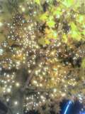 b0030470_27442.jpg