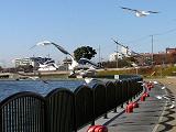 b0050787_192249.jpg