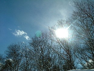 c0039205_16393298.jpg