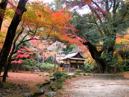 上賀茂神社2_e0048413_23201625.jpg