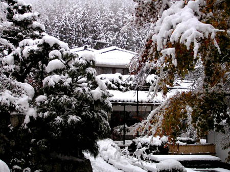 初雪です_e0048413_2323527.jpg