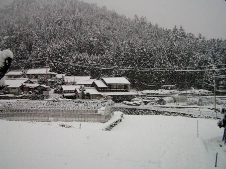 初雪です_e0048413_2385069.jpg
