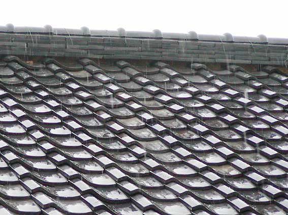 c0016718_10344829.jpg