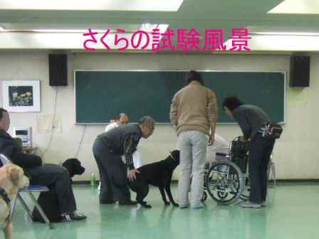 ココたん、訪問犬試験に挑戦！！_c0061923_2241569.jpg