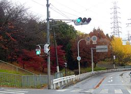 【ブルーリポン】_e0056050_1635938.jpg