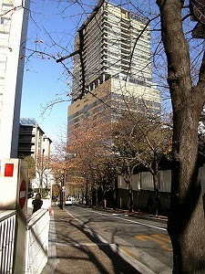 b0056570_037179.jpg