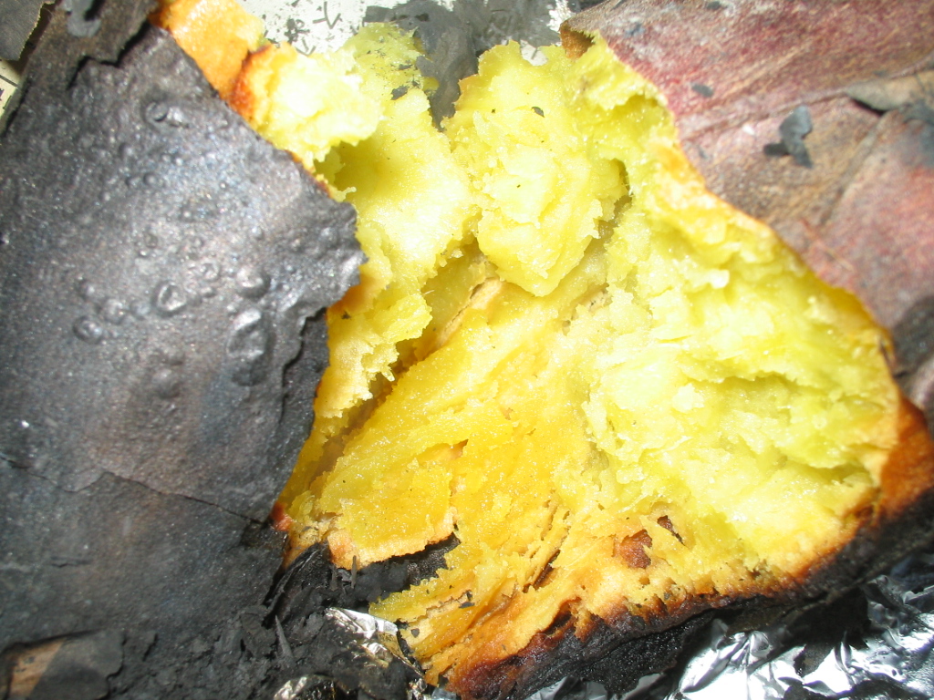d0049381_04349100.jpg