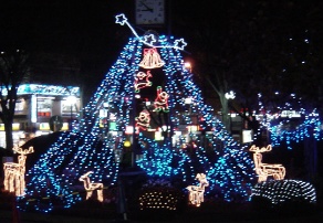 c0002089_1273829.jpg