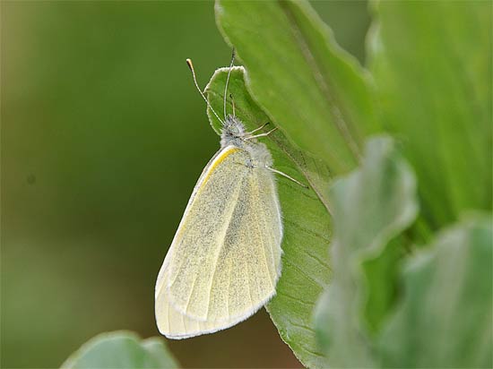 d0001300_21114691.jpg