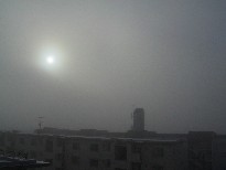 b0050104_23471125.jpg