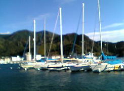c0025724_18371410.jpg