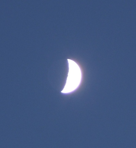 e0089232_17553571.jpg