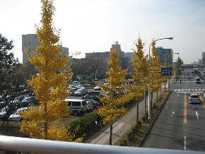 e0082045_10133282.jpg