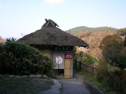 渓谷の宿　二匹の鬼　～大分県～_c0014846_12365865.jpg