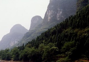 c0011649_1555720.jpg